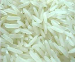 Manufacturers Exporters and Wholesale Suppliers of Pusa Basmati White Rice Nagpur Maharashtra